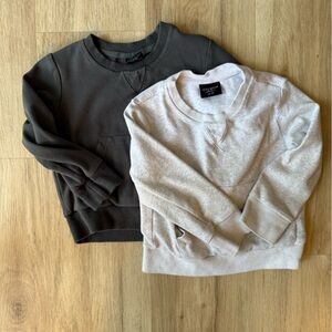 LITTLE BIPSY TODDLER CREW NECK SWEATSHIRT PACK OF 2